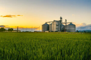 produtividade na agroindustria