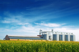 A importância do investimento em equipamentos de qualidade para a produção agroindustrial